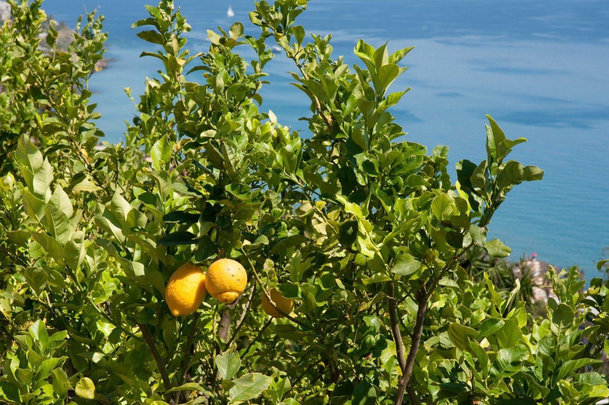 Le Terrazze Appartamenti Vacanze Sanremo Luaran gambar